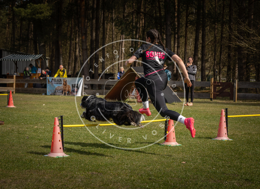 Pfotenfotografie_DV3A4091 | Hundefotografie, Tierfotograf, Pfotenfotografie, Fotoshooting Hund, Hunde Portrait, Hundesport, Hundeportraits, Heideshooting, Hunde, Sportfotograf, Hundefotograf, Turnierhundsport, THS,  - Realisiert mit Pictrs.com