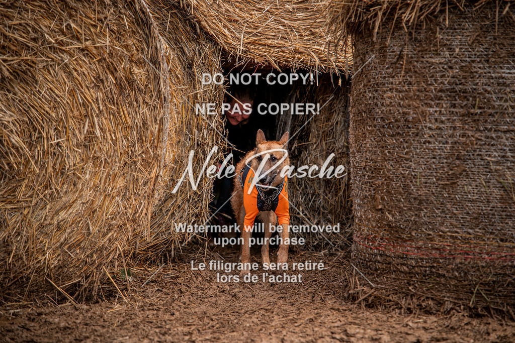 nelerasche_Hunsrück_So09-11_344 | nelerasche