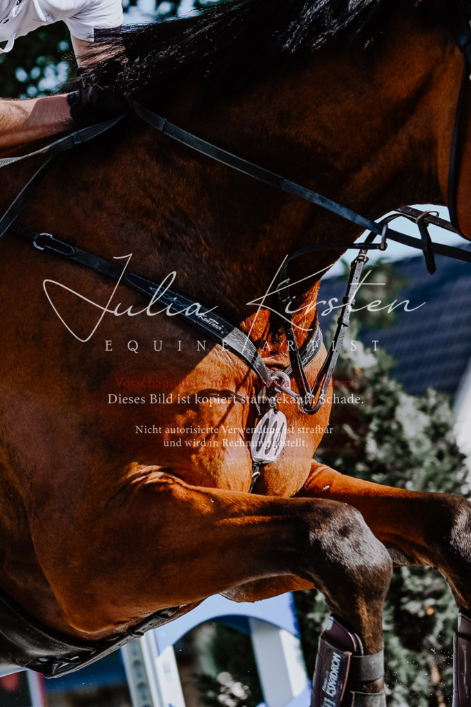 DSC_2685 | Pferde- und Turnierfotografie in Westsachsen. Pferdeportraits, Auftragszeichnungen und intuitive Kunst.