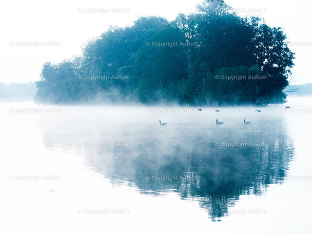 2020-08-30 Unterbacher See Nebel 1 | AuRo® Services - Realisiert mit Pictrs.com