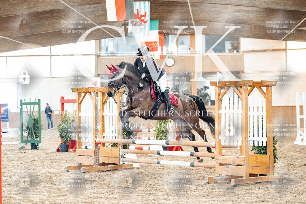 CK903756 | Turnierfotografie Pferdefotografie Trier Rheinland-Pfalz Pferdesport Reitsport Tierfotografie Sportfotografie Pferdevideo Pferdevideografie Equestrianvideography equestrianphotography  - Realized with Pictrs.com