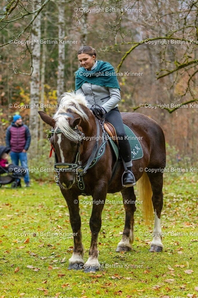 LL25-161 | foto-bettina-krinner - Realisiert mit Pictrs.com