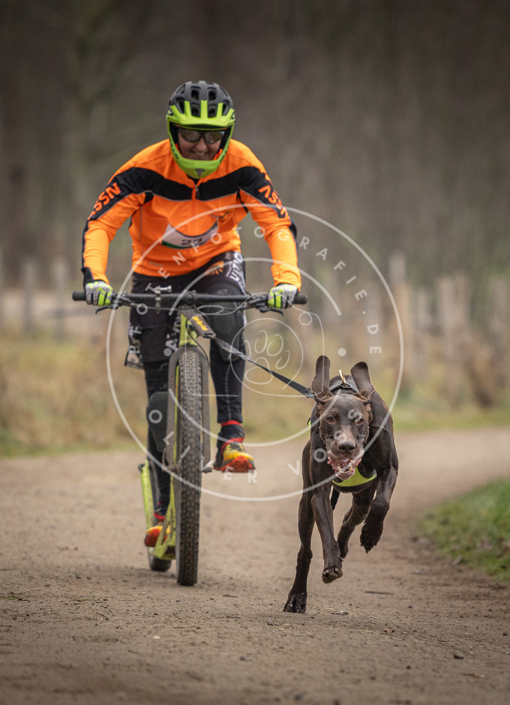 Pfotenfotografie_DV3A2186 | Hundefotografie, Tierfotograf, Pfotenfotografie, Fotoshooting Hund, Hunde Portrait, Hundesport, Hundeportraits, Heideshooting, Hunde, Sportfotograf, Hundefotograf, Turnierhundsport, THS,  - Realisiert mit Pictrs.com