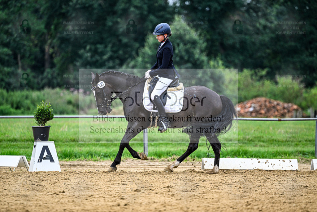 Reitturnier Hasbergen | Entdecke hochwertige Reitturnierfotos von Foto Oger. Professionell, emotional und authentisch – jetzt Lieblingsmomente im Shop bestellen. - Realisiert mit Pictrs.com