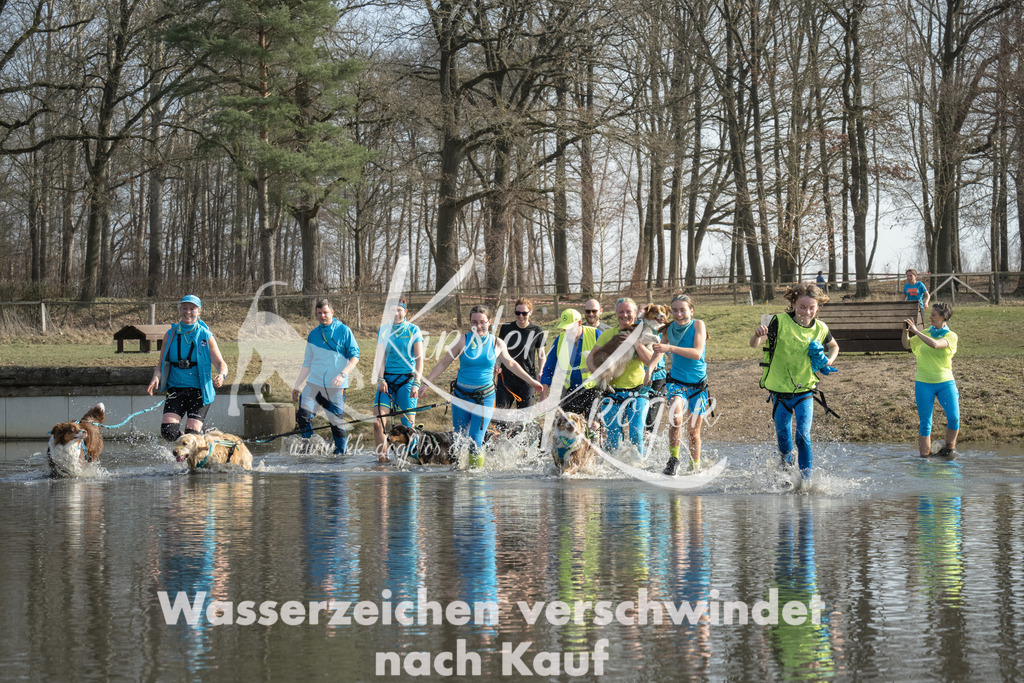 1347_ZZ98107 | kk-dogfotos