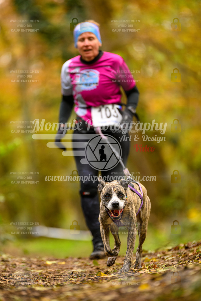 MompixPhotography_Bischwiller24_SA_Canicross-187 | PayLife