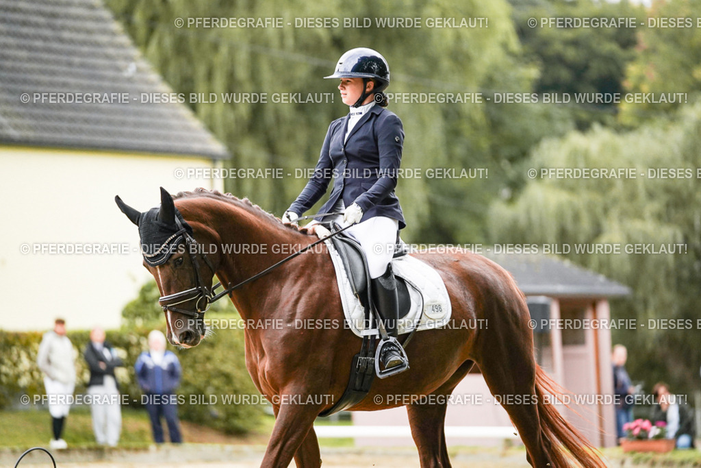 DSC06835 | Pferdegrafie