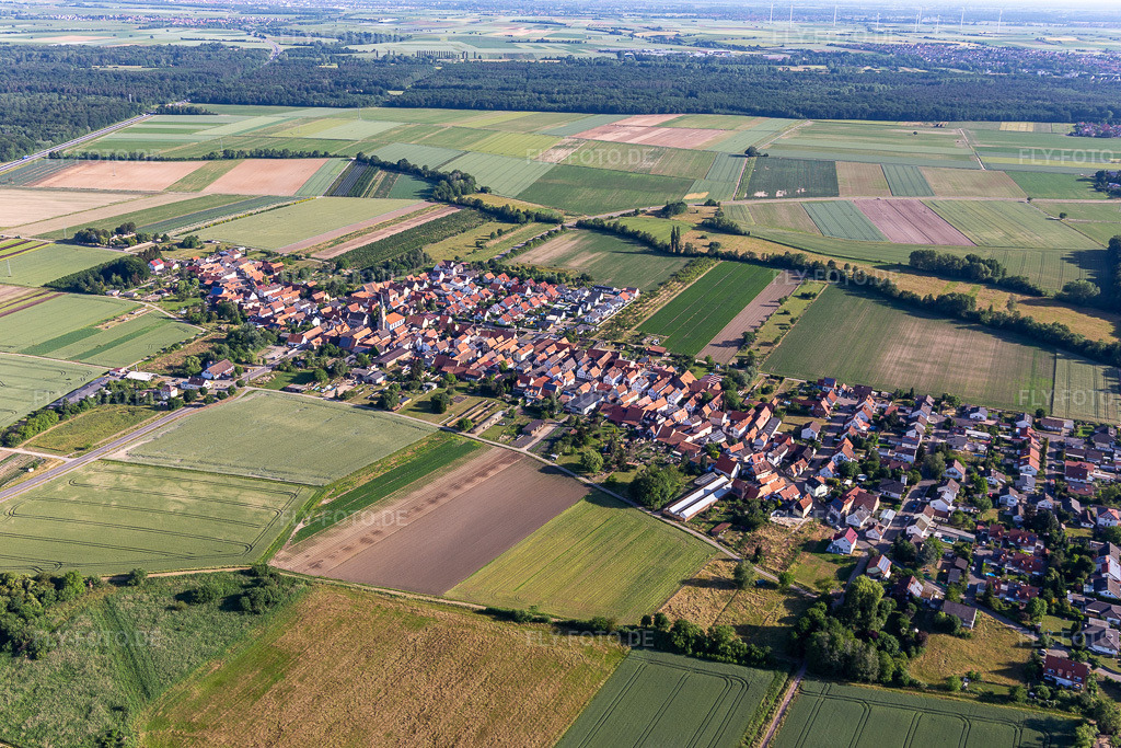 Luftbild: Dorfansicht aus Südosten in Erlenbach bei Kandel im Bundesland Rheinland-Pfalz in Deutschland. Foto: IMG_132373.jpg vom 03.06.2022 durch Werner Riehm/FLY-FOTO.deOrtsgemeinde Erlenbach - auf der Internetpräsenz der Ortsgemeinde Erlenbach bei Kandel