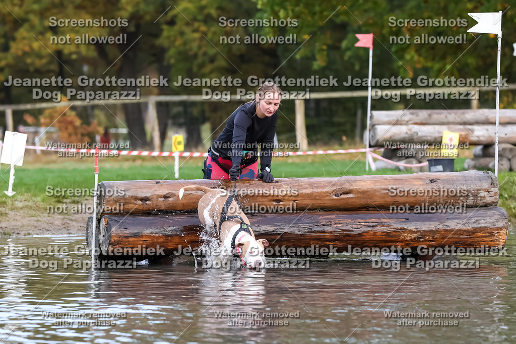 Dog Paparazzi - Strongdog 10-25-6724 | Dog Paparazzi Jeanette Grottendiek Fotografie & Videografie