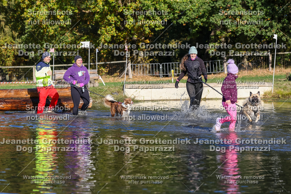 Dog Paparazzi - Strongdog 10-25-8788 | Dog Paparazzi Jeanette Grottendiek Fotografie & Videografie - Realisiert mit Pictrs.com