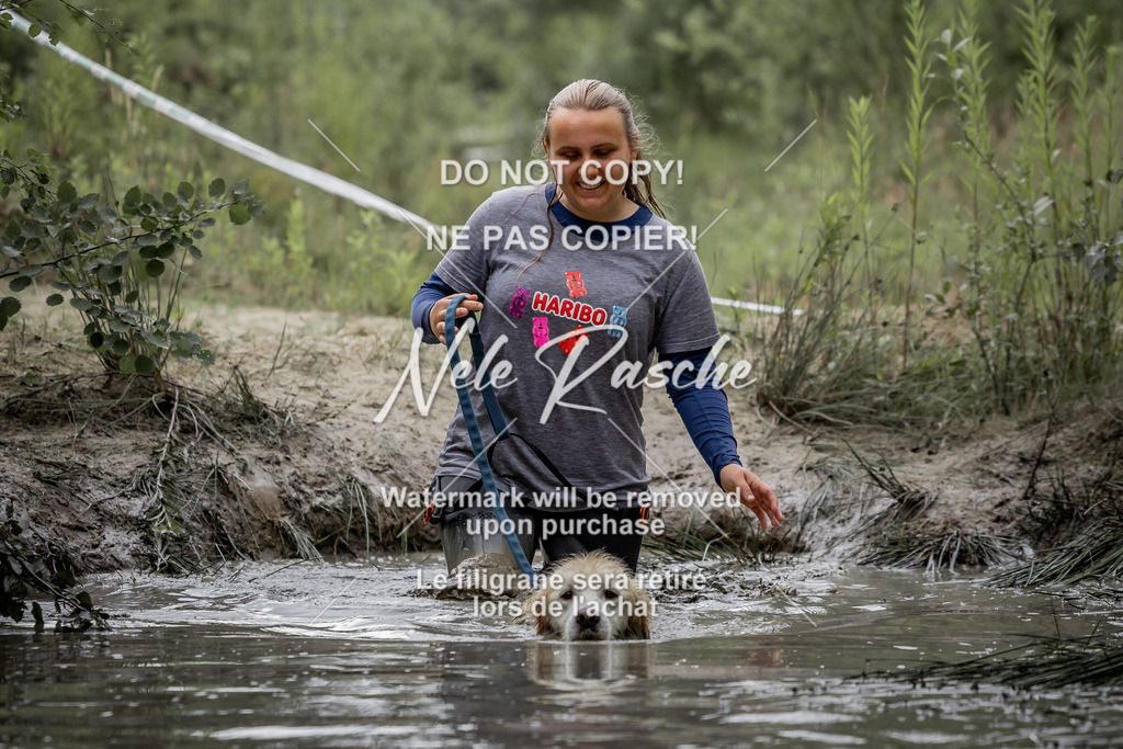 nelerasche_so0800-0930_464 | nelerasche