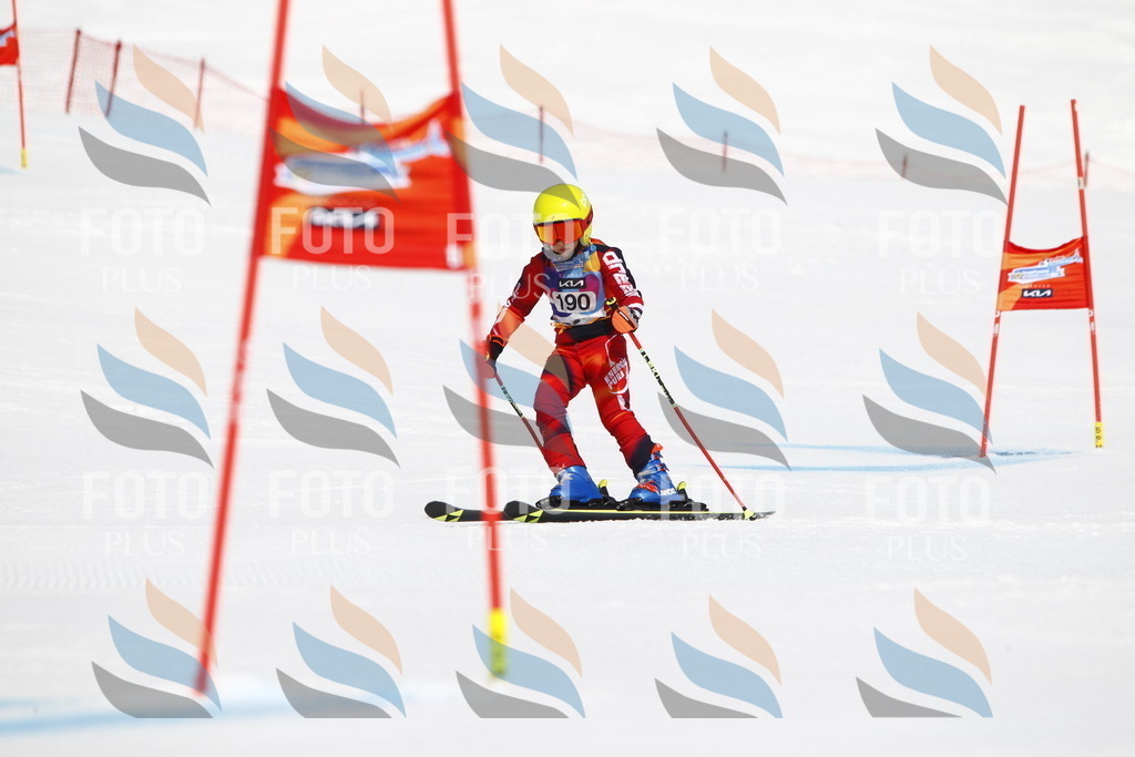 _U3G4974 | holidayphoto