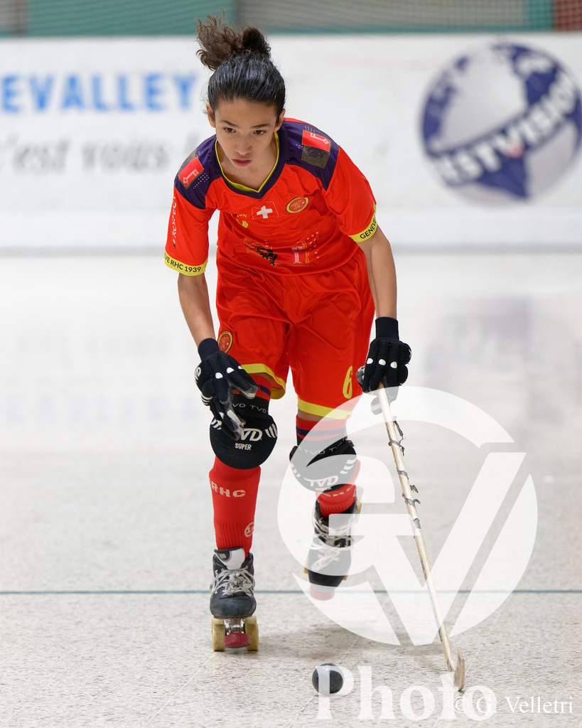 DSC_6851 | Velletri Photo