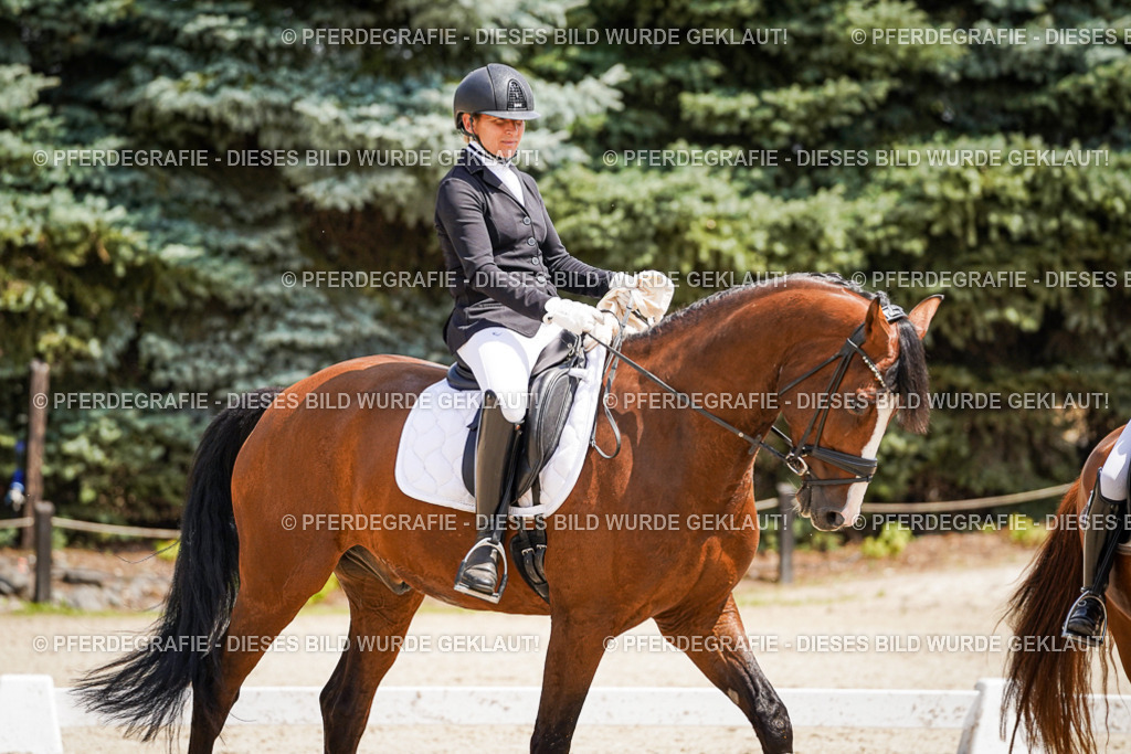 DSC01802 | Pferdegrafie