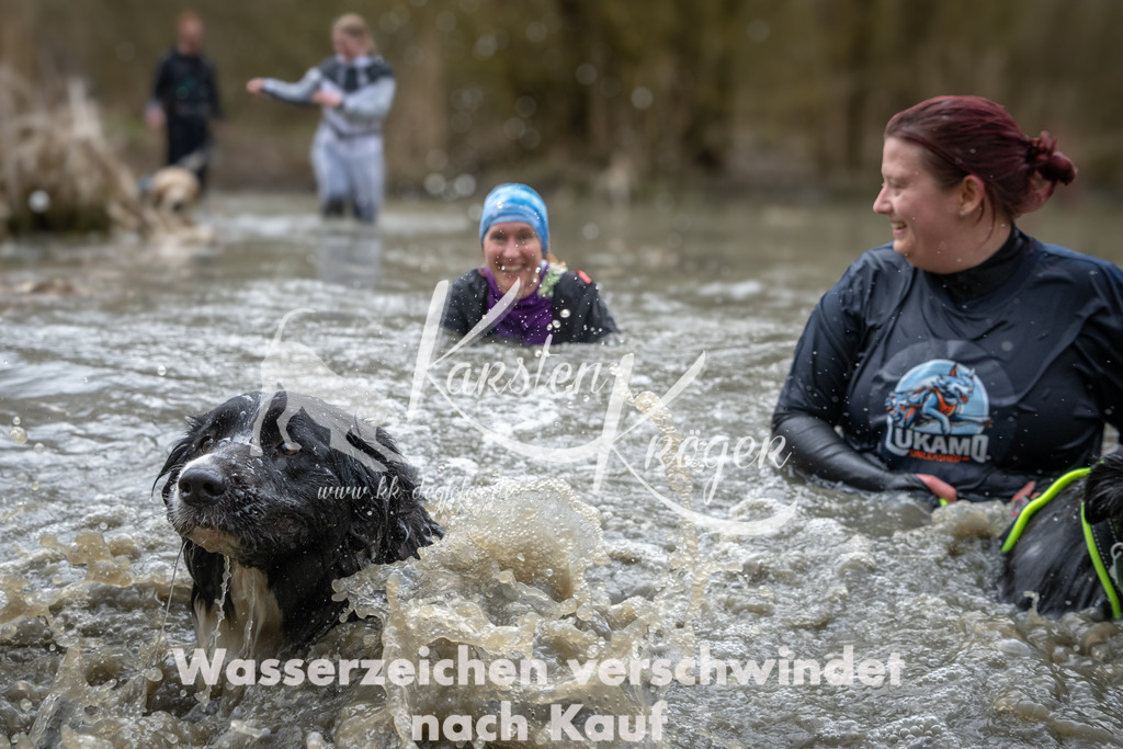1119_ZZ98464 | kk-dogfotos