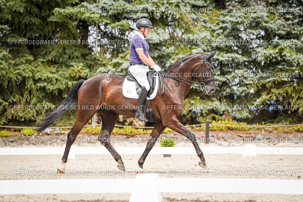 DSC06294 | Pferdegrafie