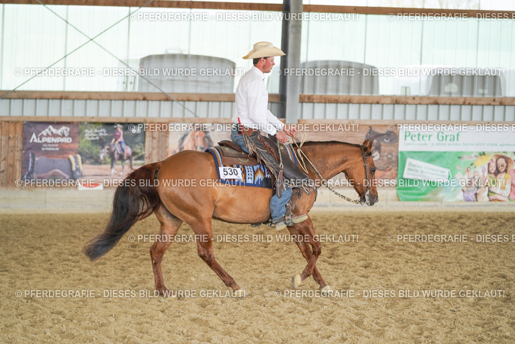 DSC00779 | Pferdegrafie