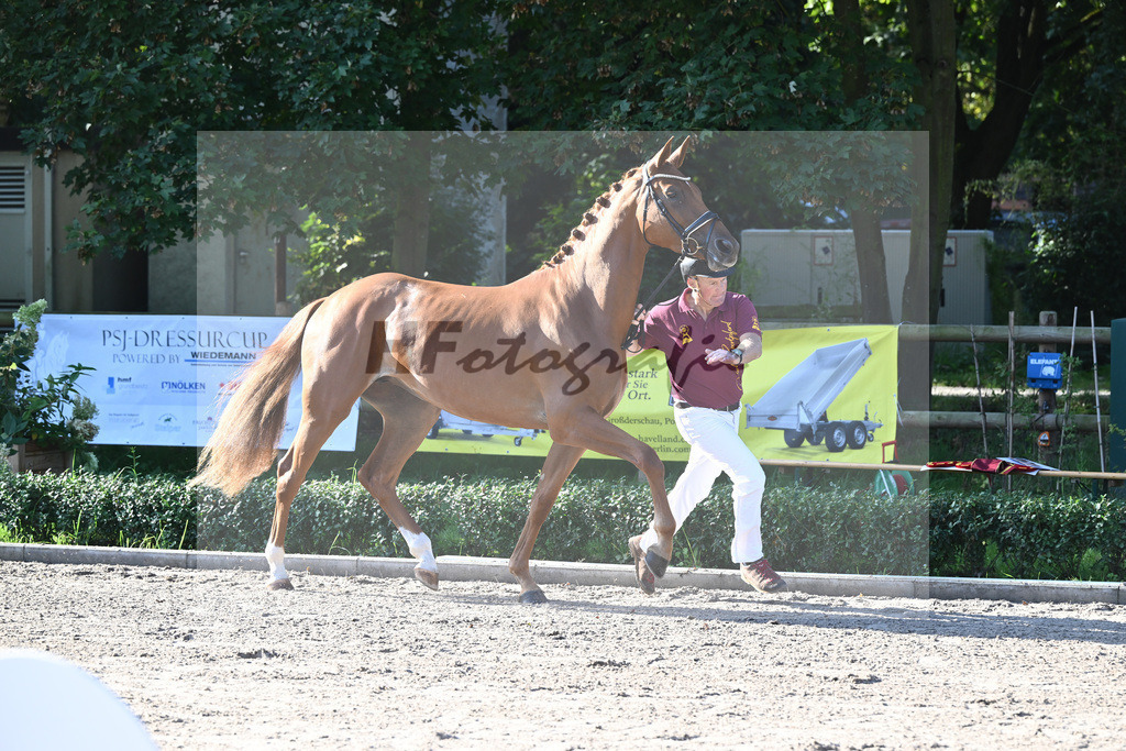 Kat-Nr. 7 Descara_Willkommer_36230579 | hf-fotografie - Realisiert mit Pictrs.com