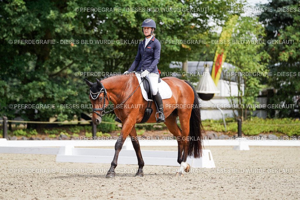 DSC00285 | Pferdegrafie