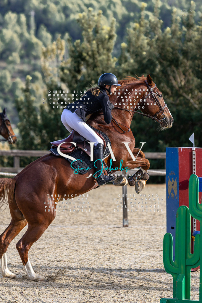 IMG_0419 | s-jay-photography - Realisiert mit Pictrs.com