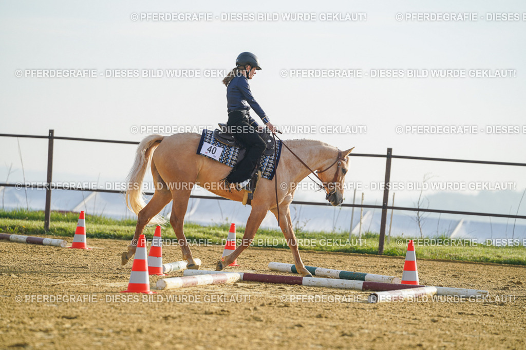 DSC09988 | Pferdegrafie