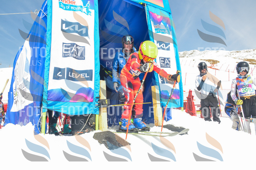 _ELE6788 | holidayphoto