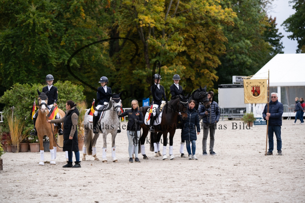 A7V01276 | Pferdefotograf