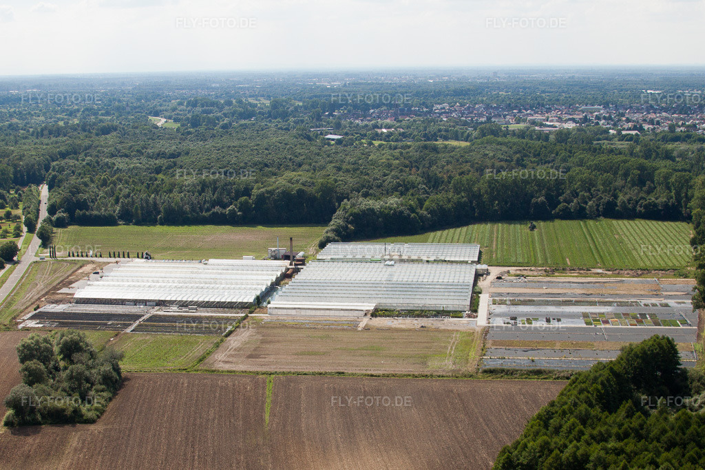 Luftbild: Malsch, Reiß Gartenbau in Malsch im Bundesland Baden-Württemberg in Deutschland. Foto: IMG_31202.jpg vom 09.08.2010 durch Werner Riehm/FLY-FOTO.de