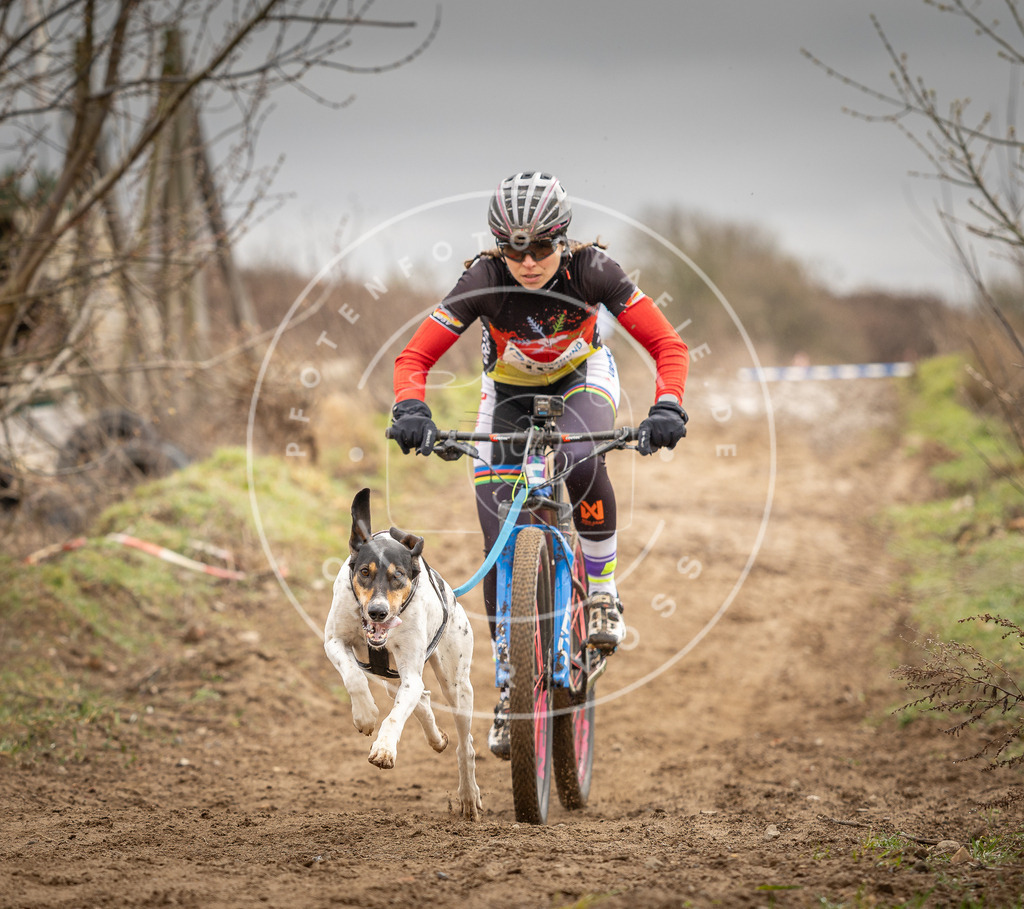 DV3A0650 | Hundefotografie, Tierfotograf, Pfotenfotografie, Fotoshooting Hund, Hunde Portrait, Hundesport, Hundeportraits, Heideshooting, Hunde, Sportfotograf, Hundefotograf, Turnierhundsport, THS,  - Realisiert mit Pictrs.com