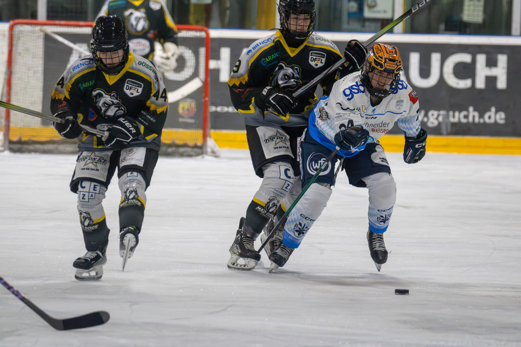 07.12.2024: Deutsche Frauen Eishockey Liga, Saison 2024/25: Mad Dogs Mannheim gegen ERC Ingolstadt | 07.12.2024: Deutsche Frauen Eishockey Liga, Saison 2024/25: Mad Dogs Mannheim gegen ERC Ingolstadt - Realisiert mit Pictrs.com