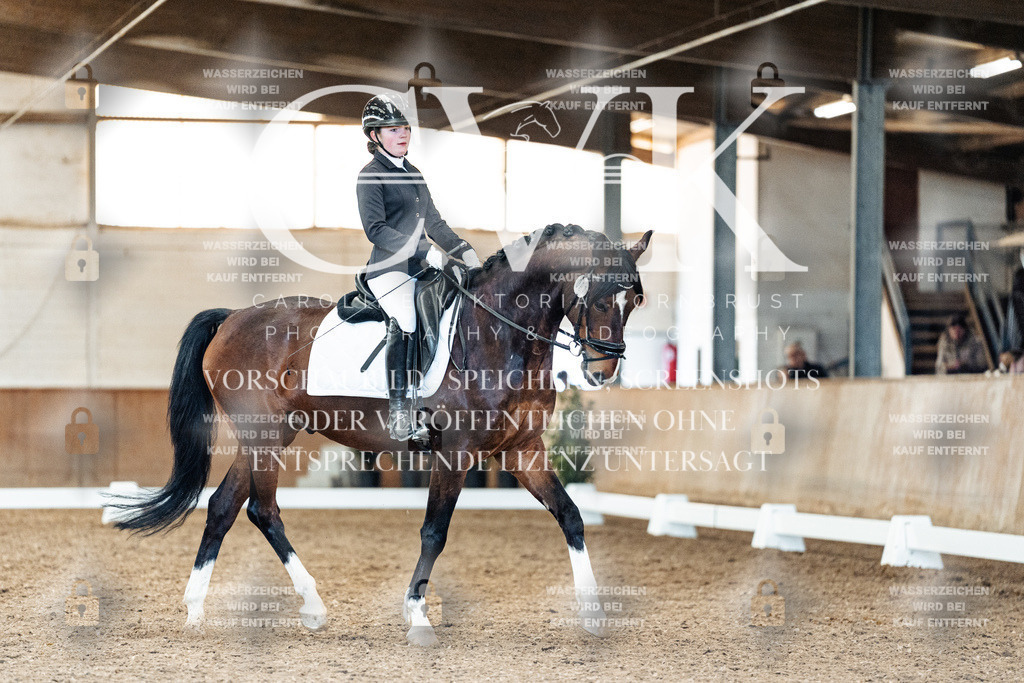 CK909823 | Turnierfotografie Pferdefotografie Trier Rheinland-Pfalz Pferdesport Reitsport Tierfotografie Sportfotografie Pferdevideo Pferdevideografie Equestrianvideography equestrianphotography  - Realized with Pictrs.com