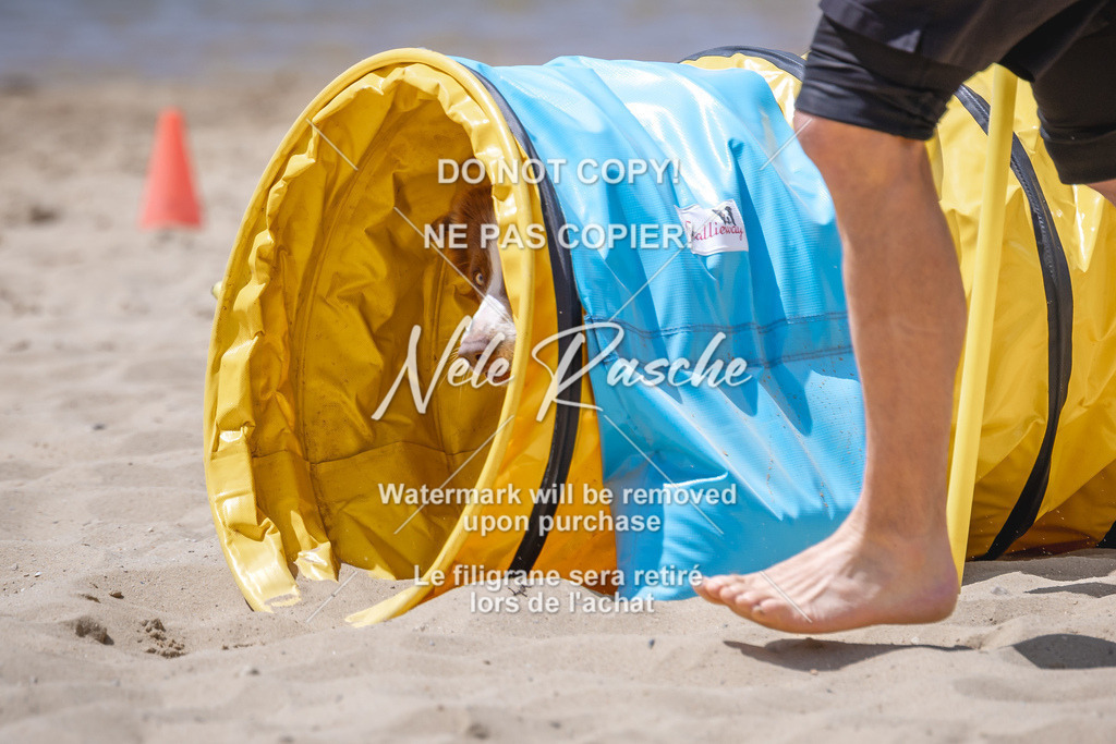 NR__2604 | nelerasche