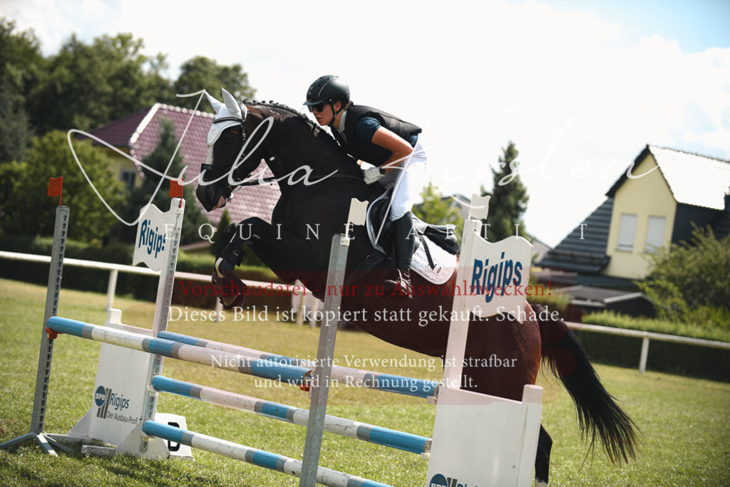 DSC_6727 | Pferde- und Turnierfotografie in Westsachsen. Pferdeportraits, Auftragszeichnungen und intuitive Kunst.