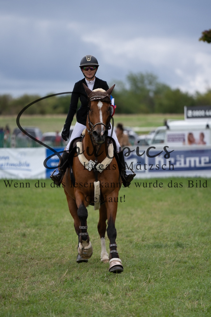 A7V06060 | Pferdefotograf