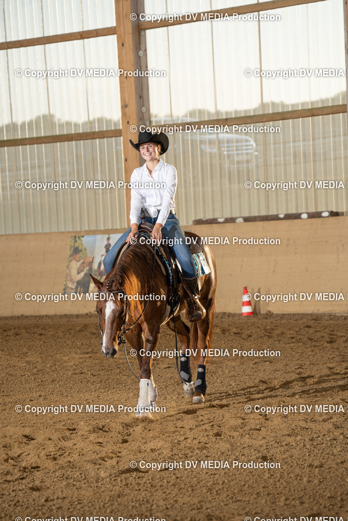 LAU02041 | dv-media-shop - Realisiert mit Pictrs.com