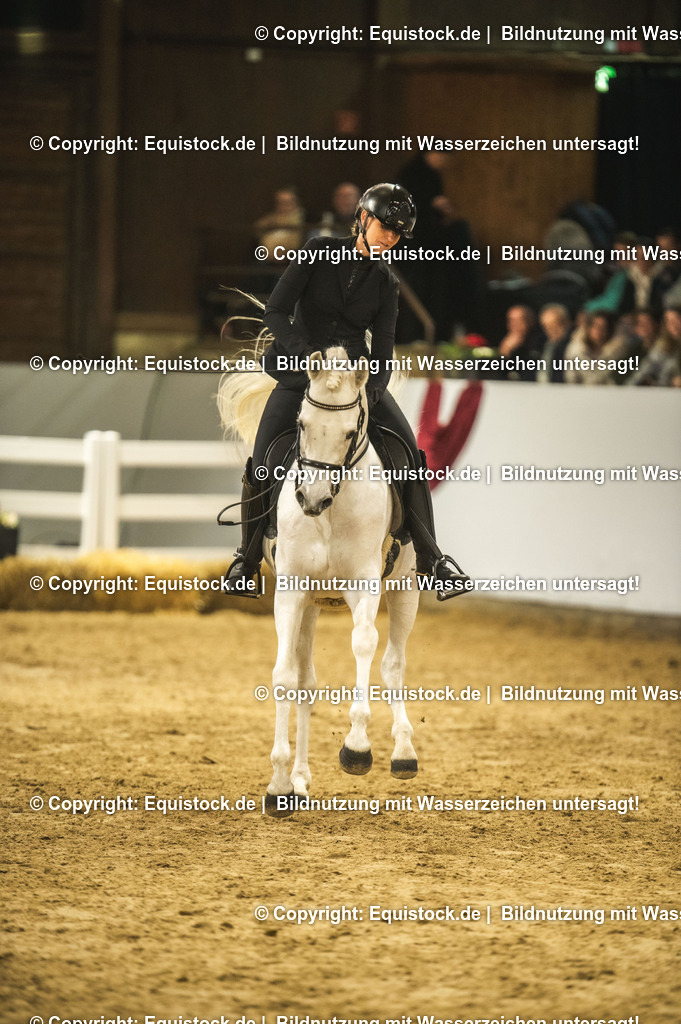 20240302_Hengstvorstellung_Marbach_TOMsPiC_1101-2 | equistock