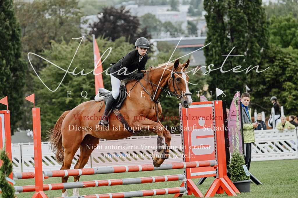 DSC_6851 | Pferde- und Turnierfotografie in Westsachsen. Pferdeportraits, Auftragszeichnungen und intuitive Kunst.