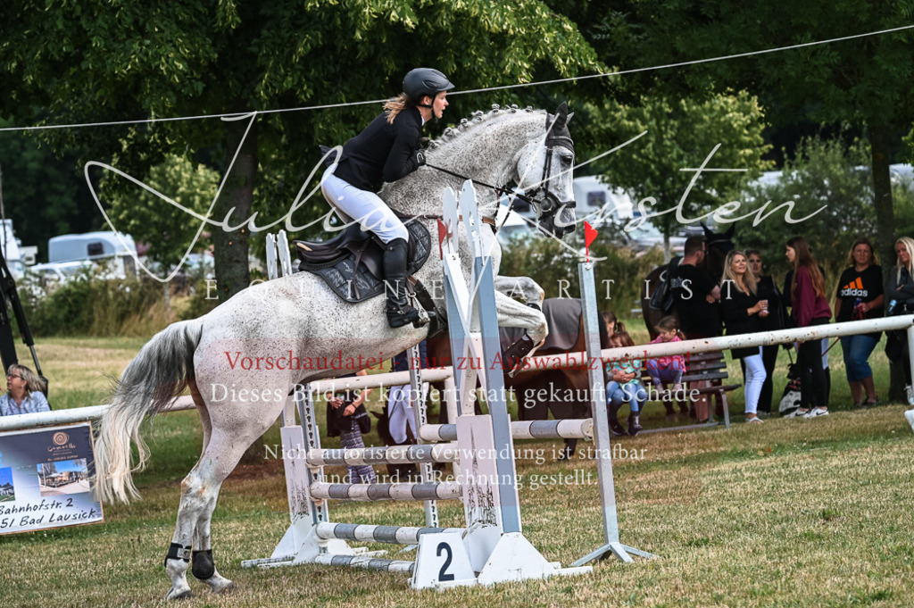 DSC_8337 | Pferde- und Turnierfotografie in Westsachsen. Pferdeportraits, Auftragszeichnungen und intuitive Kunst.