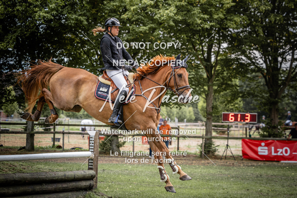 nelerasche_AmmDerbyEde_65 | nelerasche