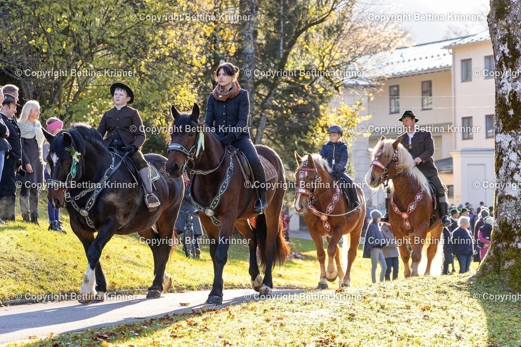 LL24-189 | foto-bettina-krinner - Realisiert mit Pictrs.com