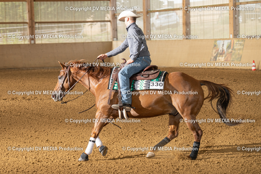 LAU01656 | dv-media-shop - Realisiert mit Pictrs.com