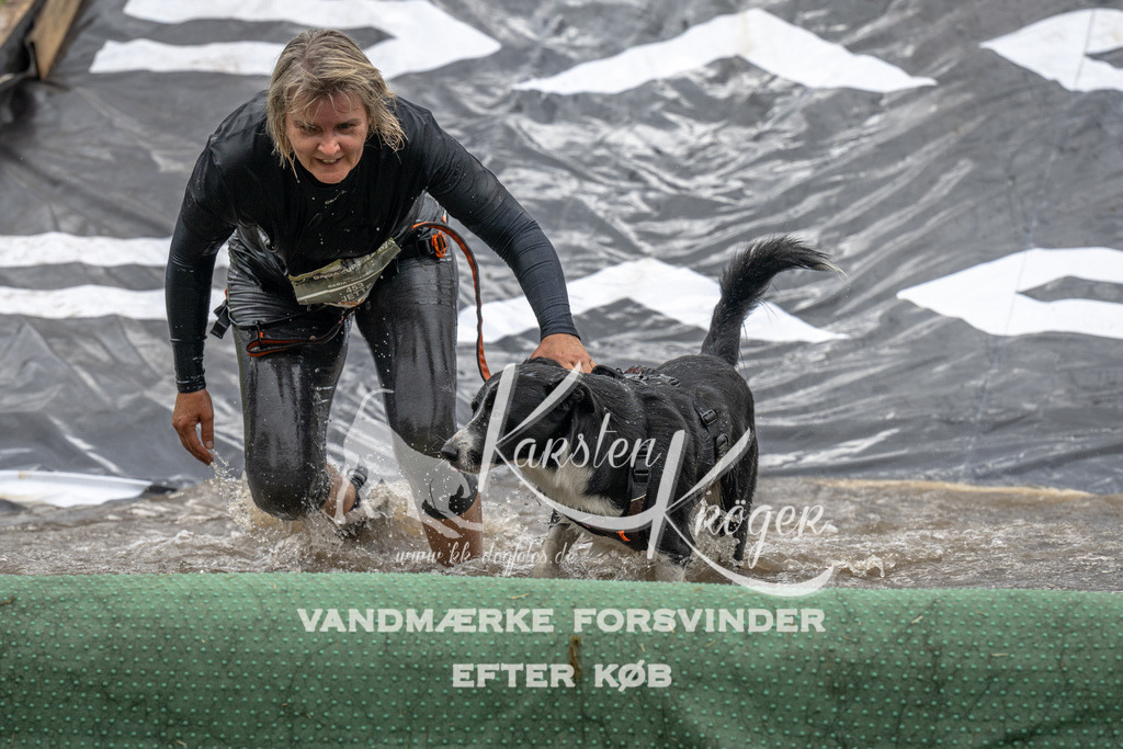 1527_ZZ93556 | kk-dogfotos