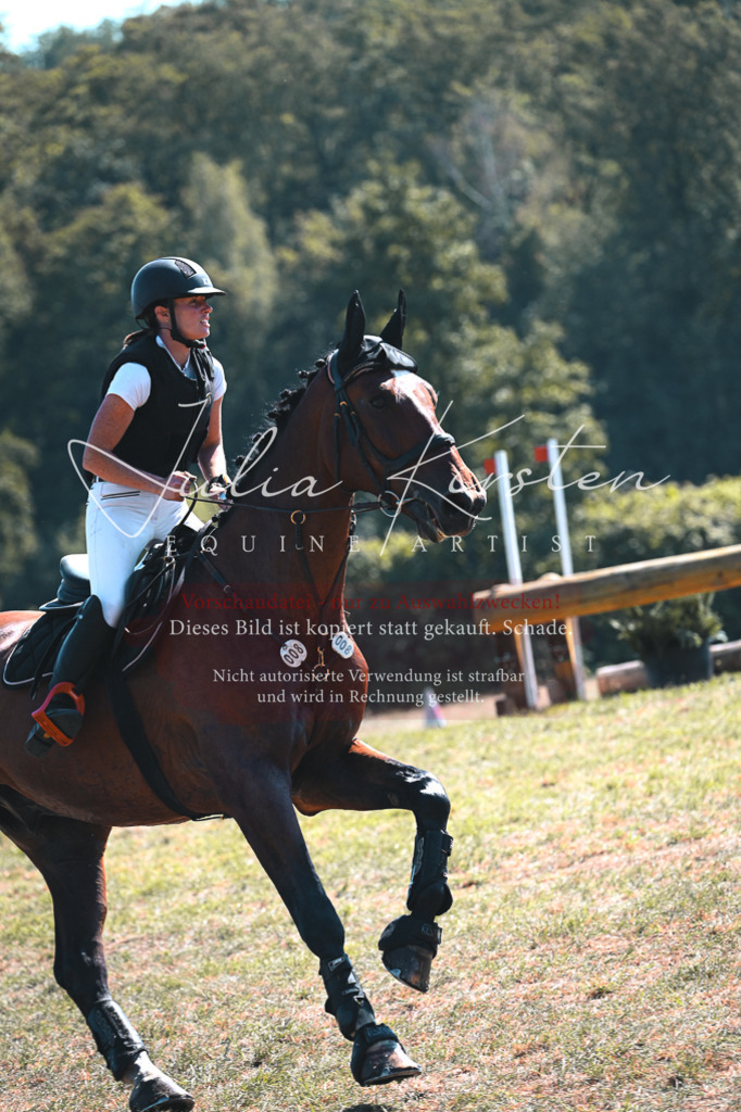 DSC_8334-2 | Pferde- und Turnierfotografie in Westsachsen. Pferdeportraits, Auftragszeichnungen und intuitive Kunst.
