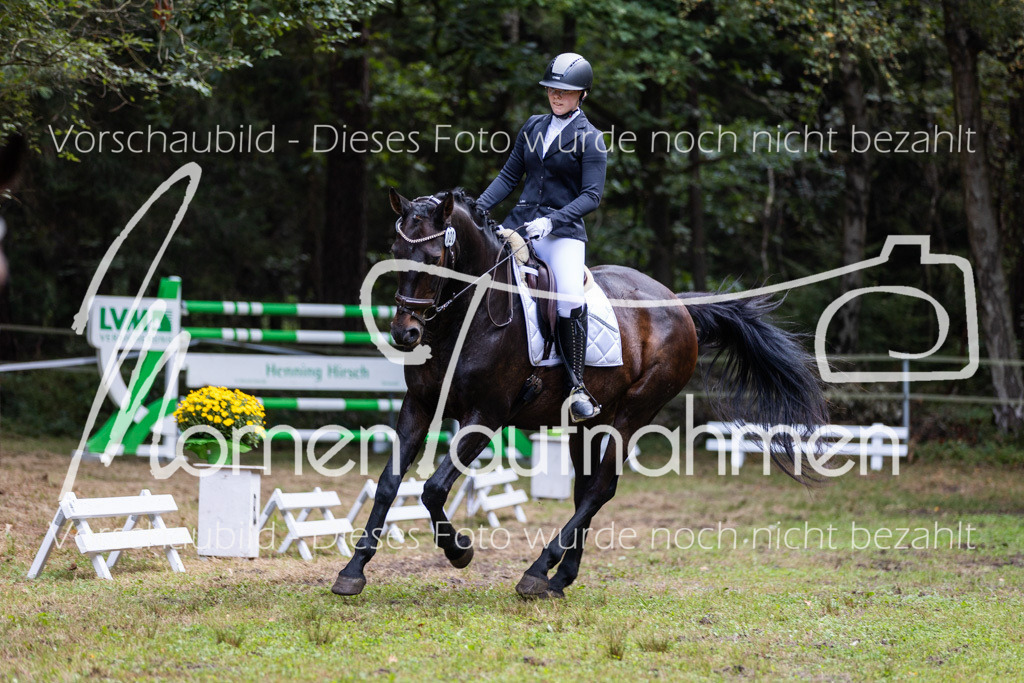 HB-Dressur-WB-022 | MomenTaufnahmen Pferdesportfotos