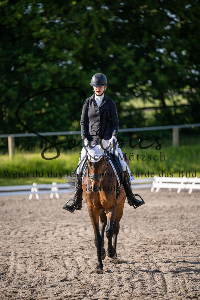 A7V02289 | Pferdefotograf