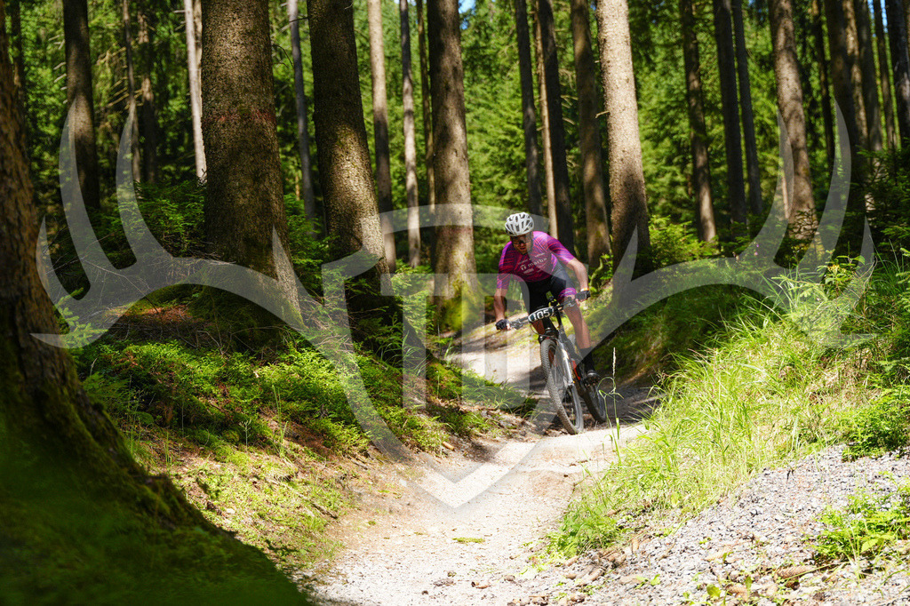 FC603892 | Fotogalerie der Treibjagd im Dunkelwald - Dein MTB Etappenrennen im Erzgebirge - Realisiert mit Pictrs.com
