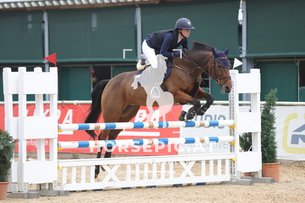 0P6A2668 | Willkommen bei Brunnmayr - Design & Fotografie – Ihrem Spezialisten für Reitturniere und Pferdeveranstaltungen in Oberösterreich, Salzburg und Bayern! Seit über 17 Jahren sind wir leidenschaftlich dabei.