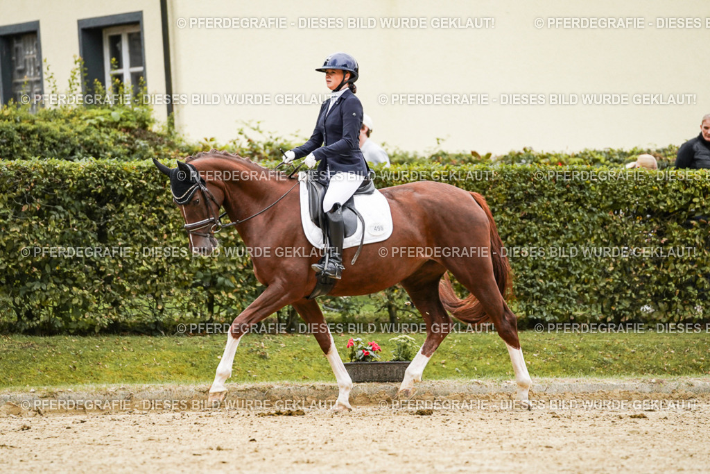 DSC06899 | Pferdegrafie