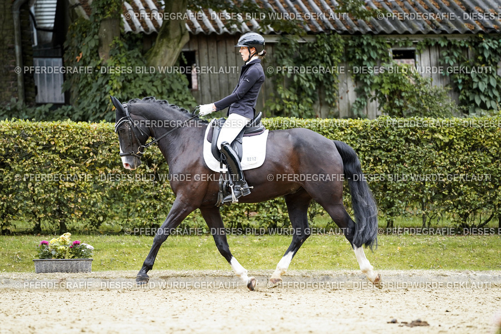 DSC09610 | Pferdegrafie