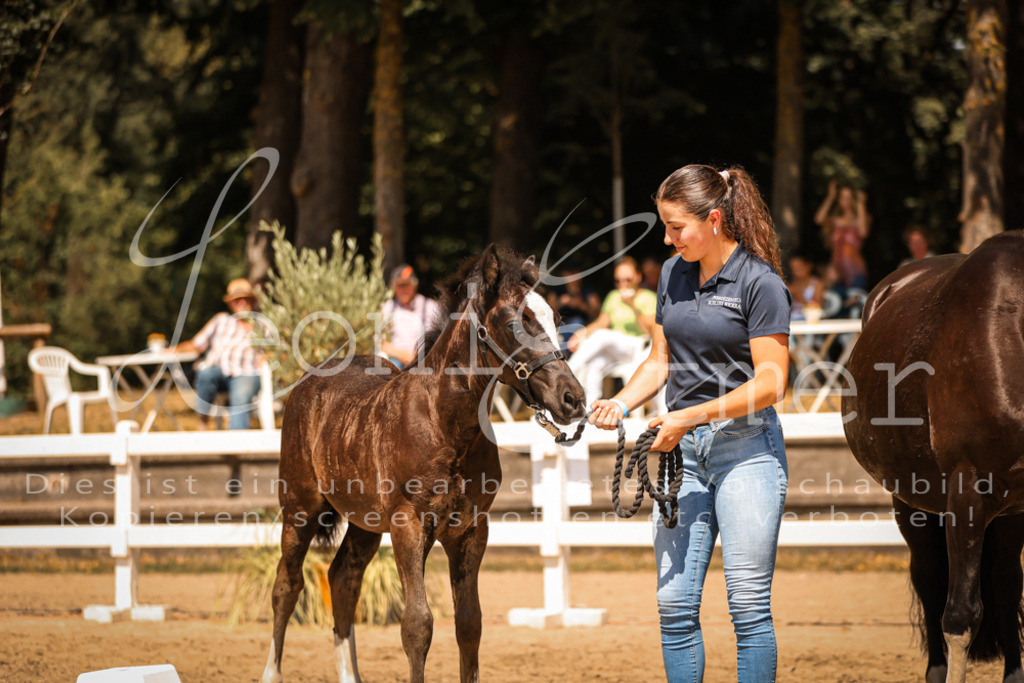 04.DoWP00098 | Leoni Ertmer Photography - Realisiert mit Pictrs.com